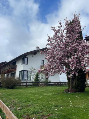 80qm Appartement, 3 Schlaf-Zimmer, integrierter Küche und Bad, 2min von A8, Garten mit Sitzgruppe, ruhig und modern